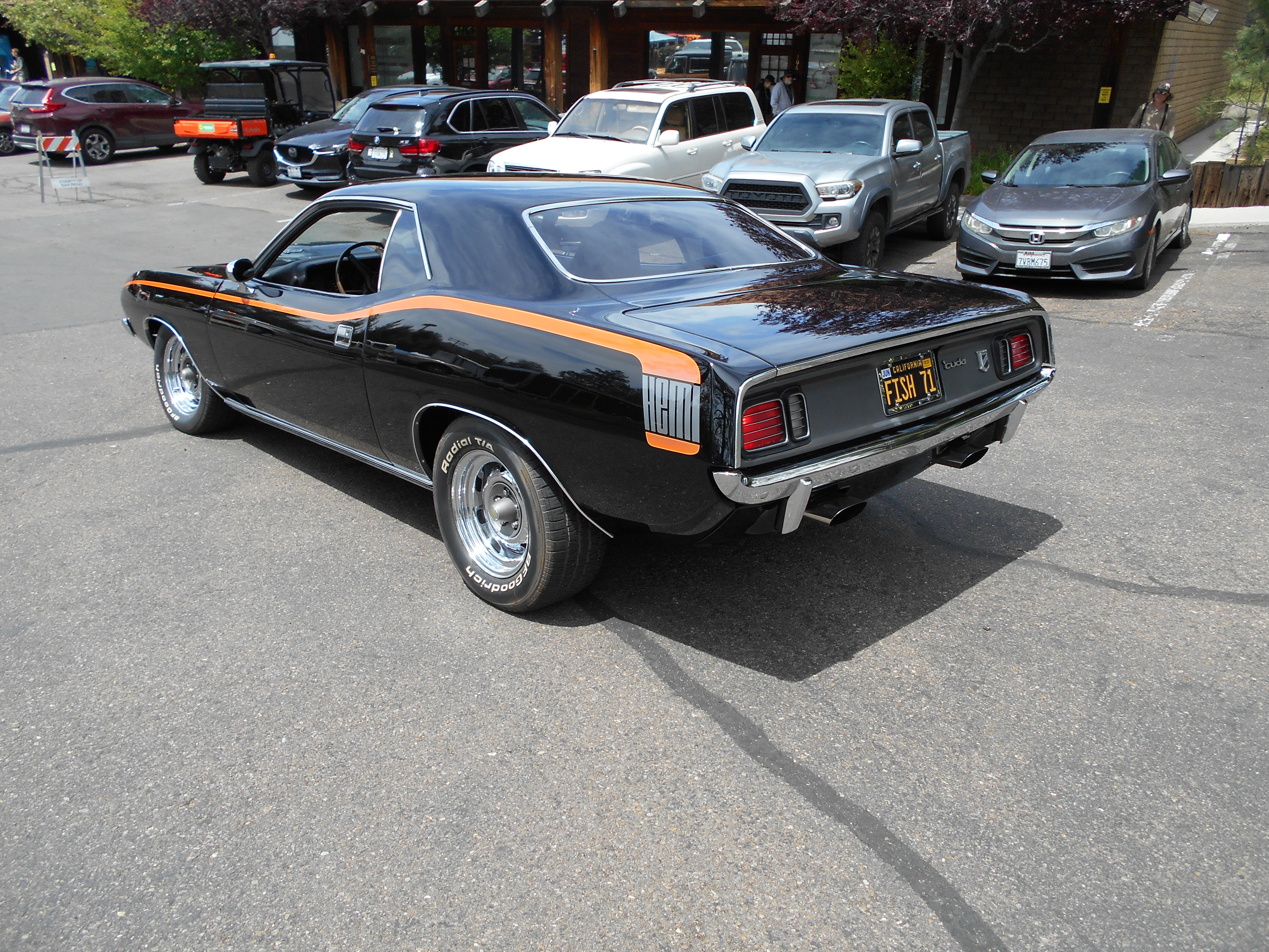 The Hemi Cuda was awarded Pal Joey's Award of excellence!  The GTO, Wrecker and Bronco won best in class for their age group 